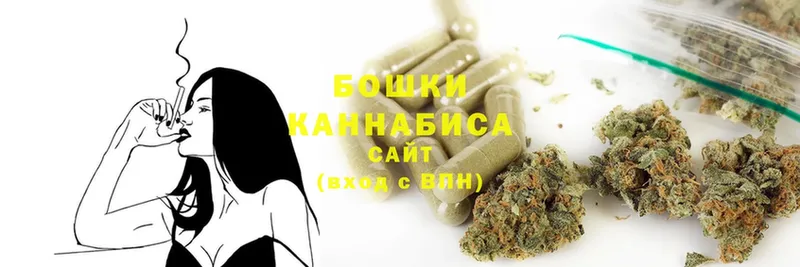 OMG рабочий сайт  Райчихинск  Каннабис SATIVA & INDICA  купить закладку 